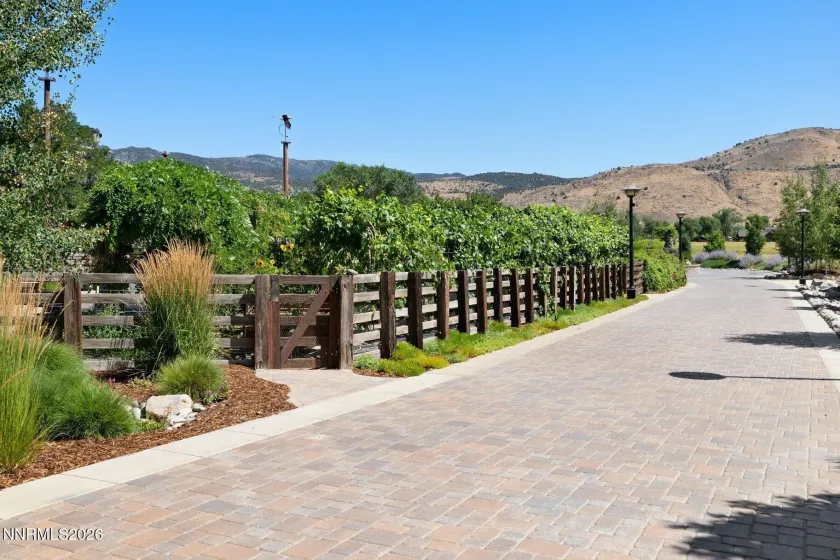 515 Rhodes, Reno, Nevada 89521, 7 Bedrooms Bedrooms, ,8 BathroomsBathrooms,Residential,Residential,Rhodes,0,260009474