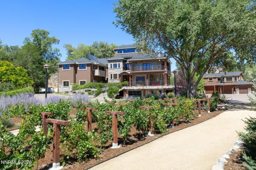 515 Rhodes, Reno, Nevada 89521, 7 Bedrooms Bedrooms, ,8 BathroomsBathrooms,Residential,Residential,Rhodes,0,260009474