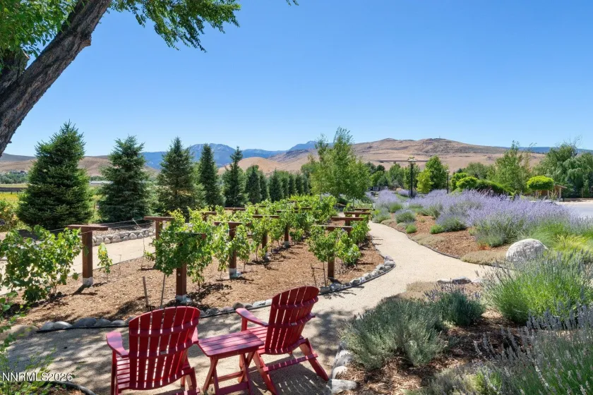 515 Rhodes, Reno, Nevada 89521, 7 Bedrooms Bedrooms, ,8 BathroomsBathrooms,Residential,Residential,Rhodes,0,260009474