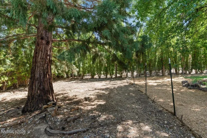 3615 Royer, Reno, Nevada 89509, 4 Bedrooms Bedrooms, ,3 BathroomsBathrooms,Residential,Residential,Royer,0,260009487