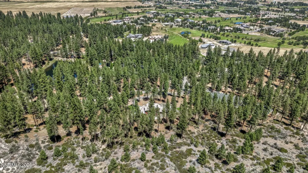 10 Franktown, Washoe Valley, Nevada 89704, 4 Bedrooms Bedrooms, ,4 BathroomsBathrooms,Residential,Residential,Franktown,0,260009499