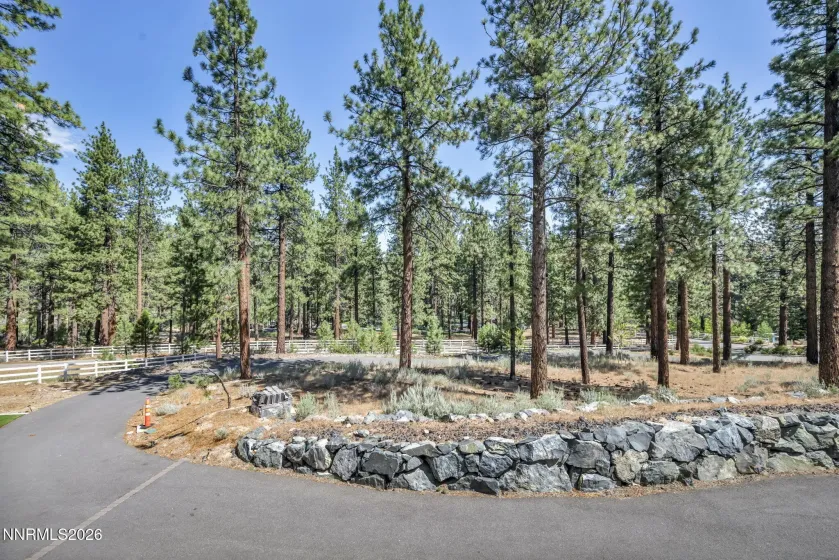 10 Franktown, Washoe Valley, Nevada 89704, 4 Bedrooms Bedrooms, ,4 BathroomsBathrooms,Residential,Residential,Franktown,0,260009499