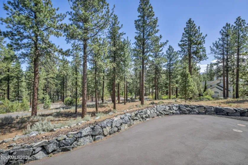 10 Franktown, Washoe Valley, Nevada 89704, 4 Bedrooms Bedrooms, ,4 BathroomsBathrooms,Residential,Residential,Franktown,0,260009499