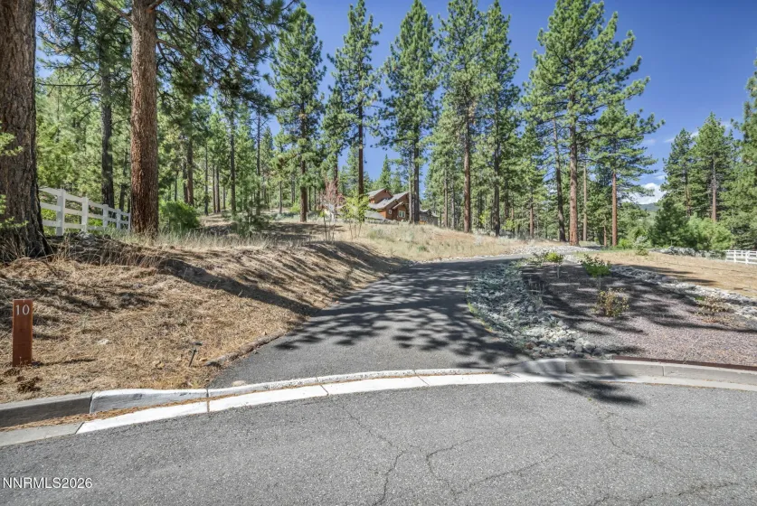 10 Franktown, Washoe Valley, Nevada 89704, 4 Bedrooms Bedrooms, ,4 BathroomsBathrooms,Residential,Residential,Franktown,0,260009499