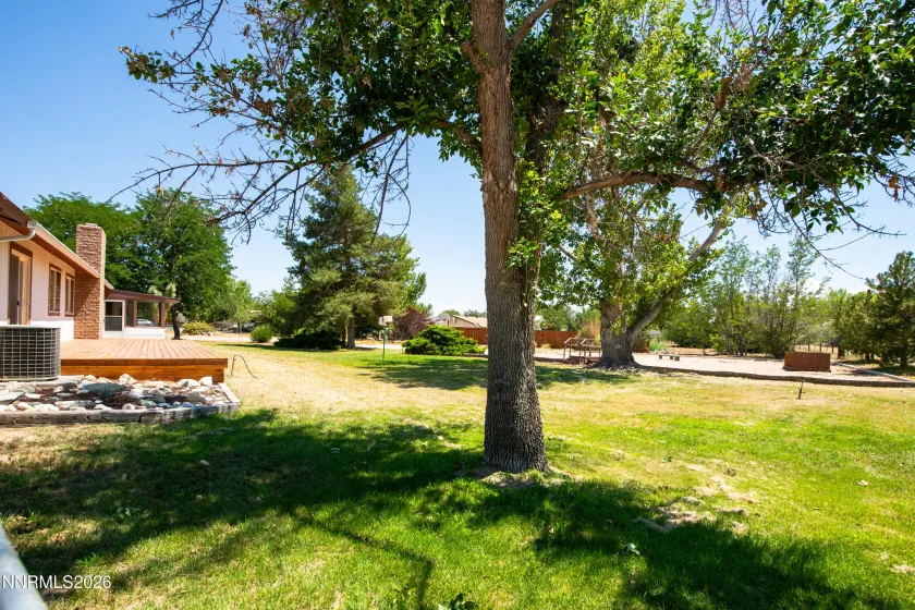 1100 Pine, Fallon, Nevada 89406, 3 Bedrooms Bedrooms, ,3 BathroomsBathrooms,Residential,Residential,Pine,0,260009544
