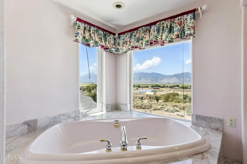 1680 Toni, Minden, Nevada 89423, 4 Bedrooms Bedrooms, ,3 BathroomsBathrooms,Residential,Residential,Toni,0,260009546