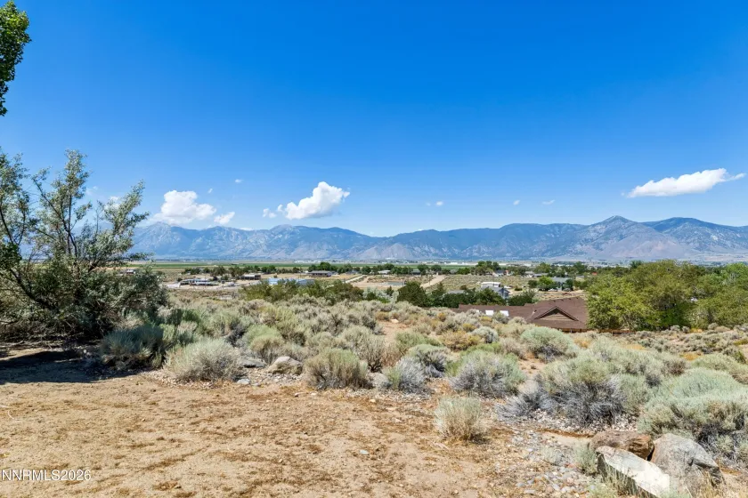 1680 Toni, Minden, Nevada 89423, 4 Bedrooms Bedrooms, ,3 BathroomsBathrooms,Residential,Residential,Toni,0,260009546
