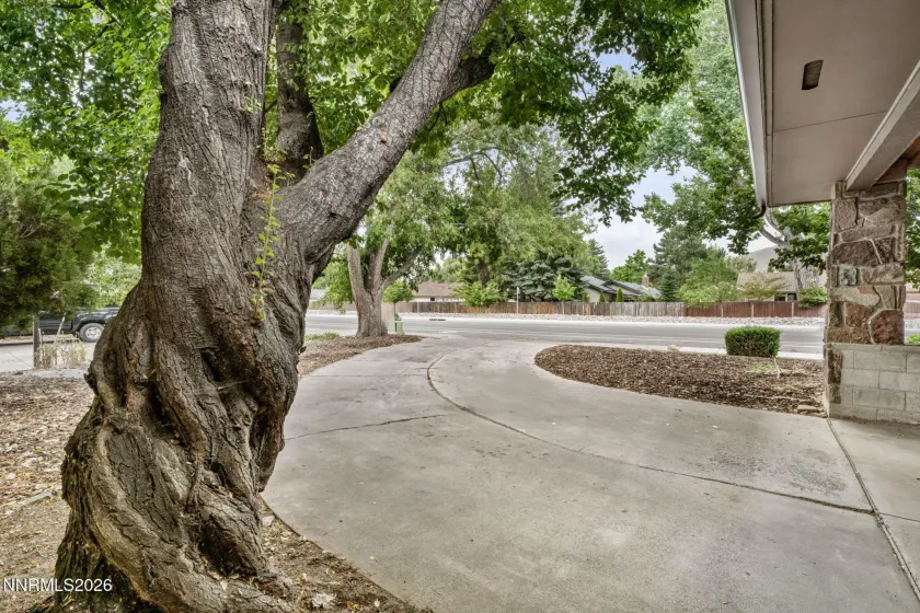 1312 Washington, Carson City, Nevada 89703, 3 Bedrooms Bedrooms, ,2 BathroomsBathrooms,Residential,Residential,Washington,0,260009520