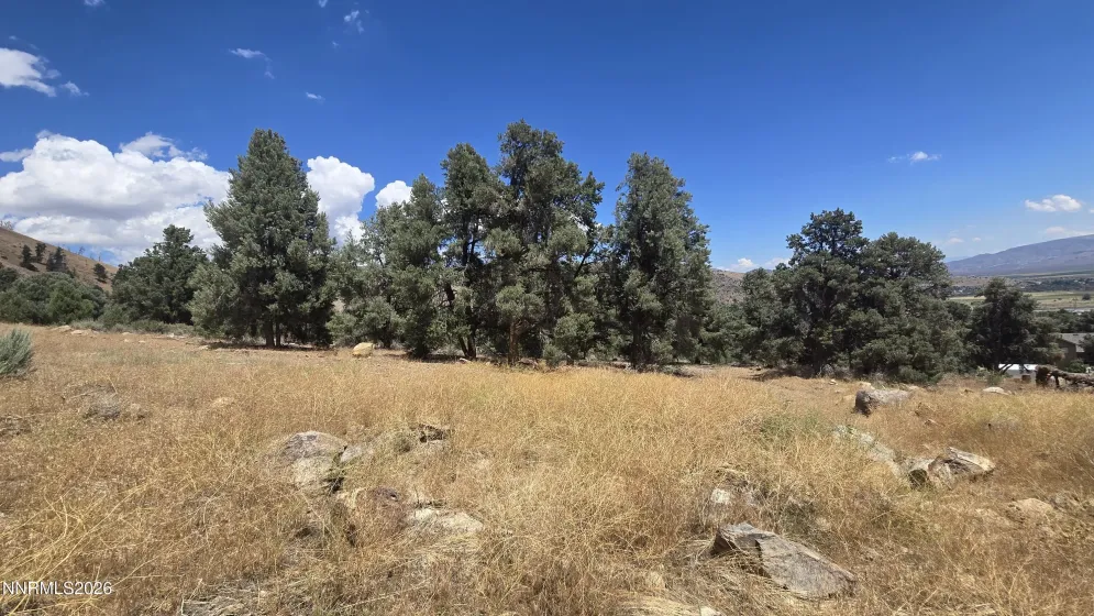 Gently sloping lot