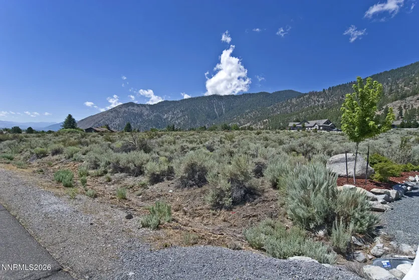 2458 Eagle Ridge, Genoa, Nevada 89411, ,Land,Residential,Eagle Ridge,0,260009564