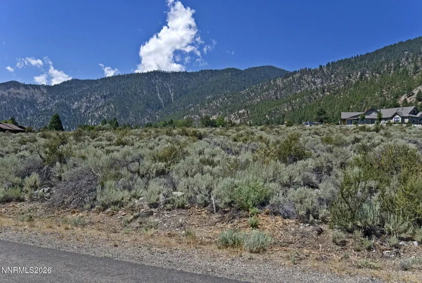 2458 Eagle Ridge, Genoa, Nevada 89411, ,Land,Residential,Eagle Ridge,0,260009564