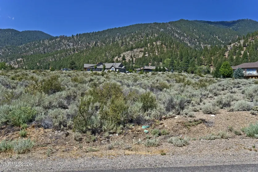 2458 Eagle Ridge, Genoa, Nevada 89411, ,Land,Residential,Eagle Ridge,0,260009564