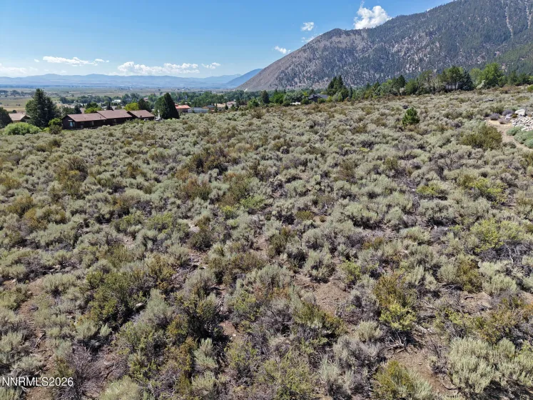 2458 Eagle Ridge, Genoa, Nevada 89411, ,Land,Residential,Eagle Ridge,0,260009564