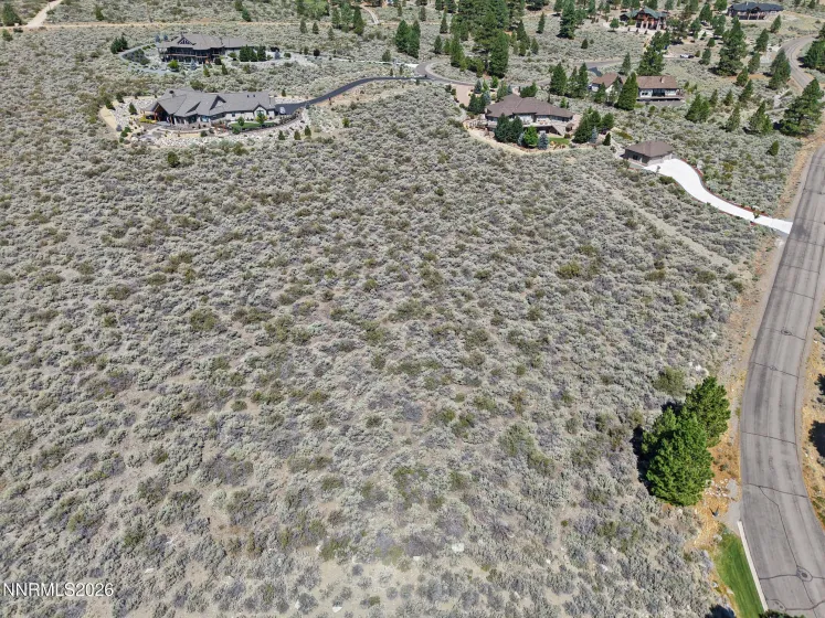 2458 Eagle Ridge, Genoa, Nevada 89411, ,Land,Residential,Eagle Ridge,0,260009564