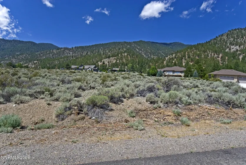 2458 Eagle Ridge, Genoa, Nevada 89411, ,Land,Residential,Eagle Ridge,0,260009564