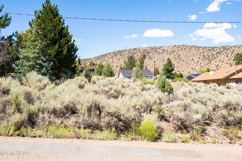 3466 Mark Twain, Gardnerville, Nevada 89410, ,Land,Residential,Mark Twain,0,260009567