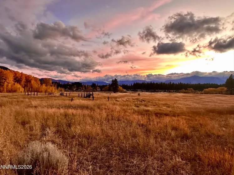 Rabe Meadow