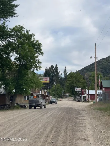 Jarbidge town view