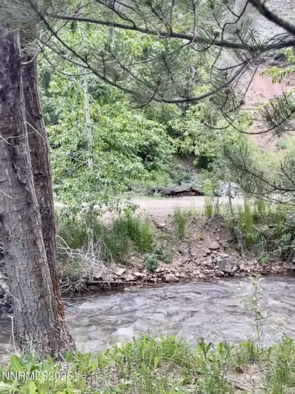Jarbidge River