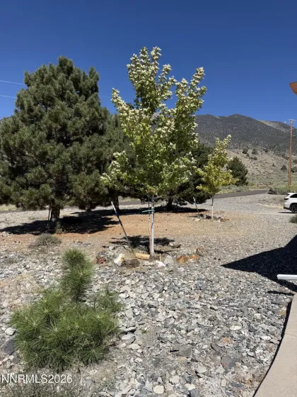 112 Victorine, Kingston, Nevada 89310, 3 Bedrooms Bedrooms, ,2 BathroomsBathrooms,Residential,Residential,Victorine,0,260009577