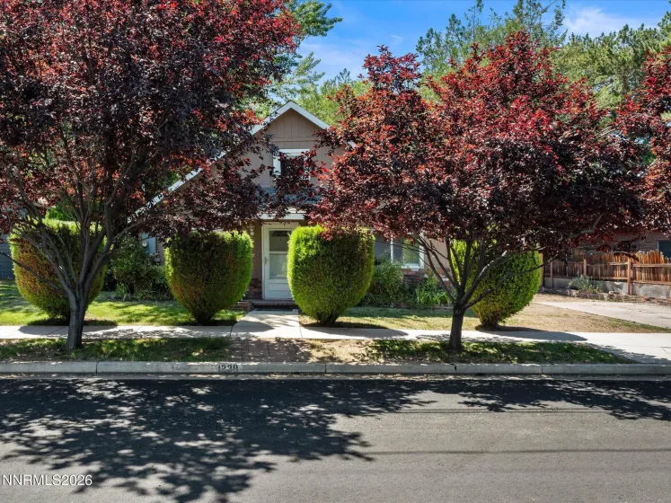 1239 Patrick, Reno, Nevada 89509, 2 Bedrooms Bedrooms, ,1 BathroomBathrooms,Residential,Residential,Patrick,0,260008155