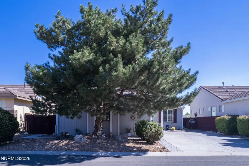 410 La Costa, Dayton, Nevada 89403, 3 Bedrooms Bedrooms, ,2 BathroomsBathrooms,Residential,Residential,La Costa,0,260009596