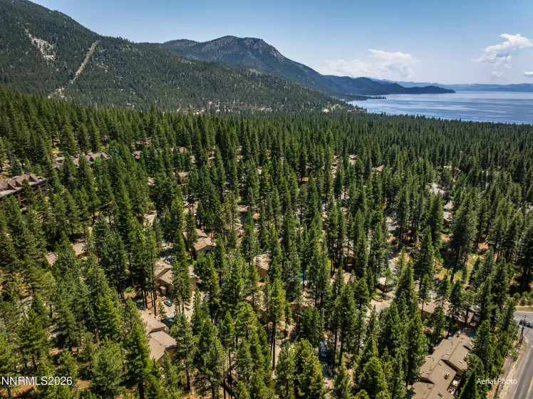 321 Ski, Incline Village, Nevada 89451, 4 Bedrooms Bedrooms, ,3 BathroomsBathrooms,Residential,Residential,Ski,0,260009605