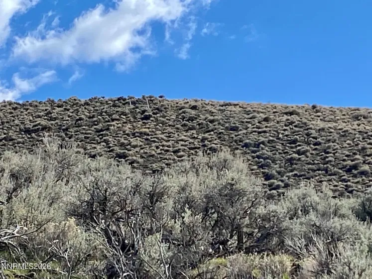 11300 Tempest, Lovelock, Nevada 89419, ,Land,Residential,Tempest,0,260003383