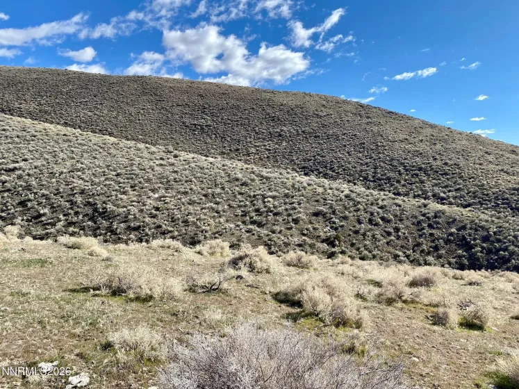 11300 Tempest, Lovelock, Nevada 89419, ,Land,Residential,Tempest,0,260003383