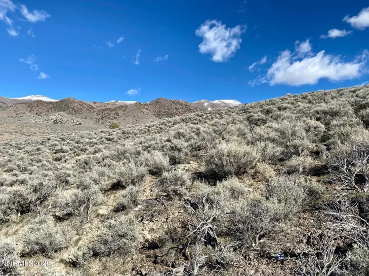 11300 Tempest, Lovelock, Nevada 89419, ,Land,Residential,Tempest,0,260003383