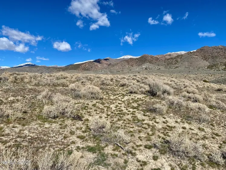 11300 Tempest, Lovelock, Nevada 89419, ,Land,Residential,Tempest,0,260003383