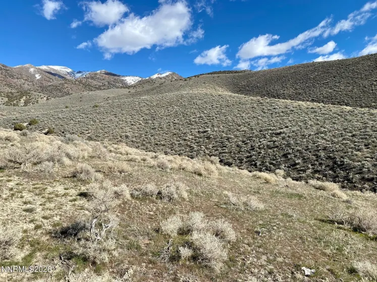 11300 Tempest, Lovelock, Nevada 89419, ,Land,Residential,Tempest,0,260003383