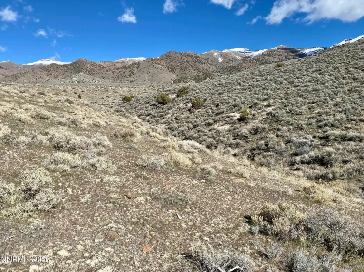 11300 Tempest, Lovelock, Nevada 89419, ,Land,Residential,Tempest,0,260003383