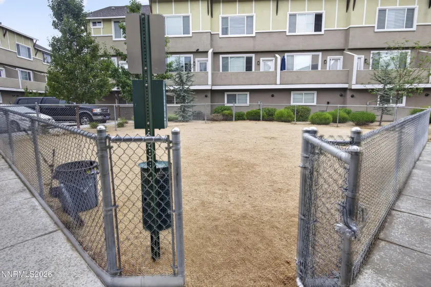 Dog Area