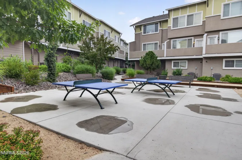 Ping Pong Tables