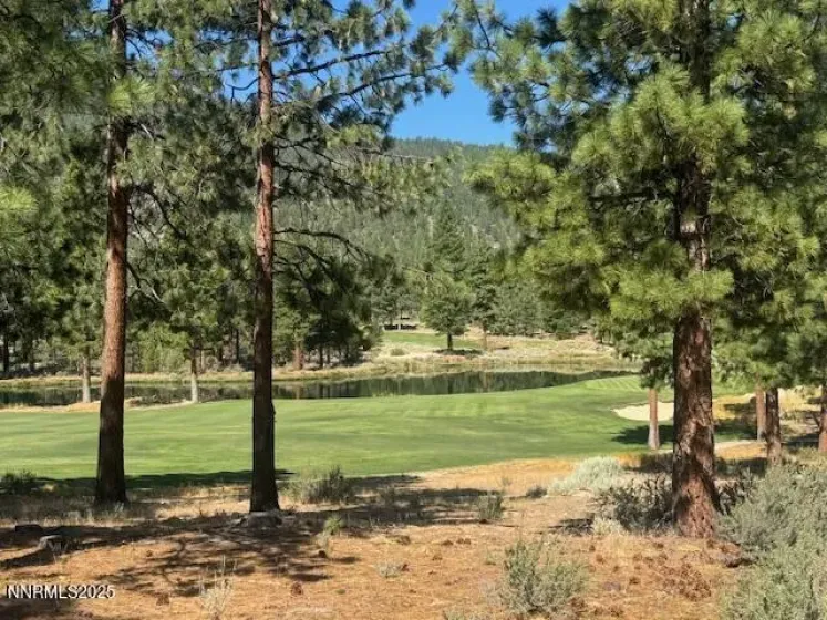 11th Fairway