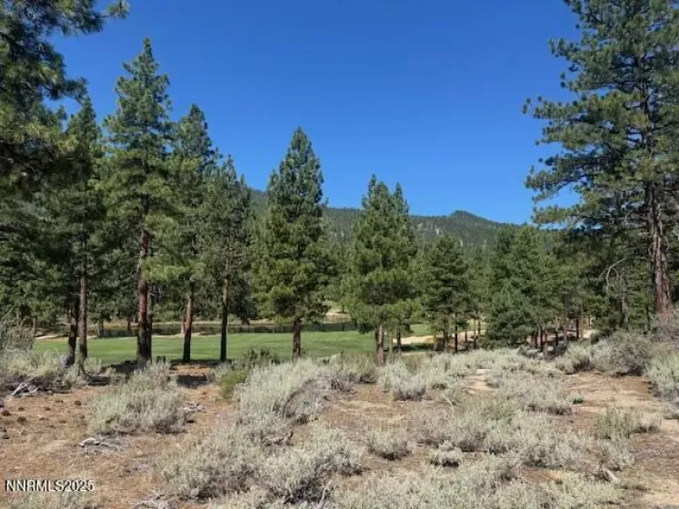 193 Redding, Carson City, Nevada 89705, ,Land,Residential,Redding,0,250053446