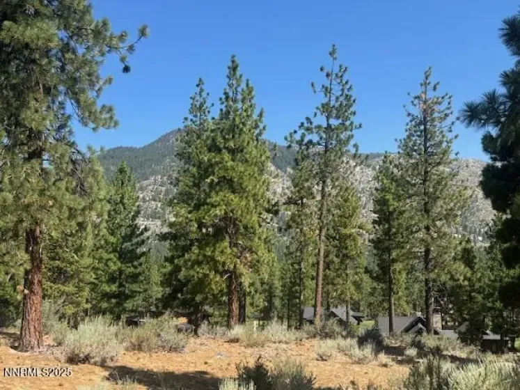 Mountain Views too