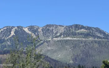 Land Residential