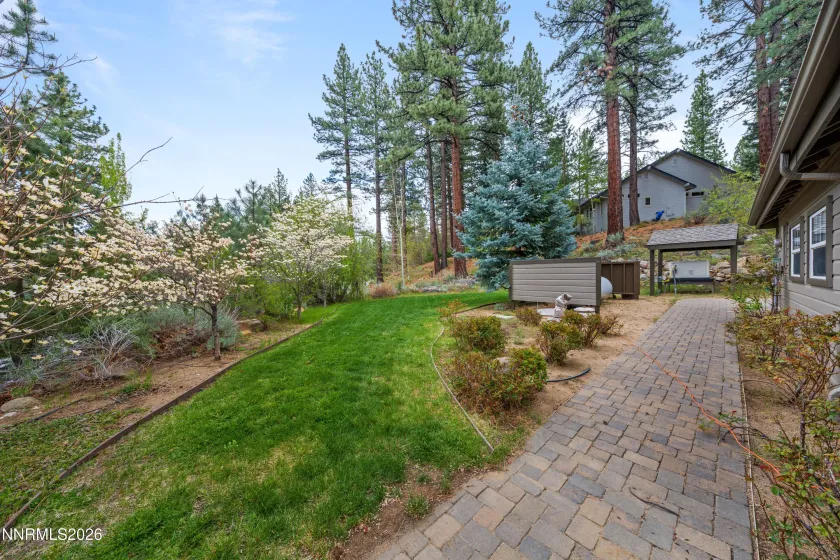 SIDE YARD
