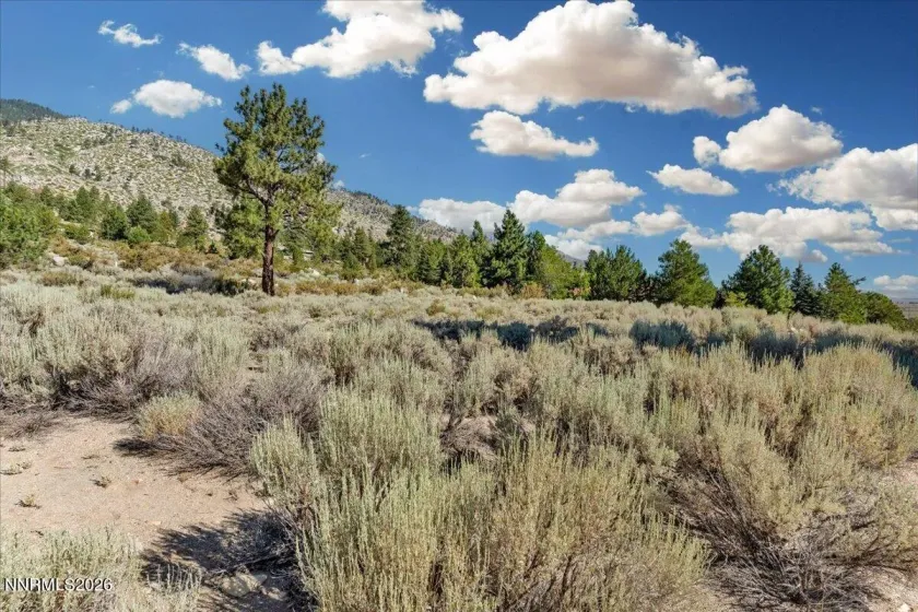 1211 Quail Ridge, Gardnerville, Nevada 89460, ,Land,Residential,Quail Ridge,0,260009708