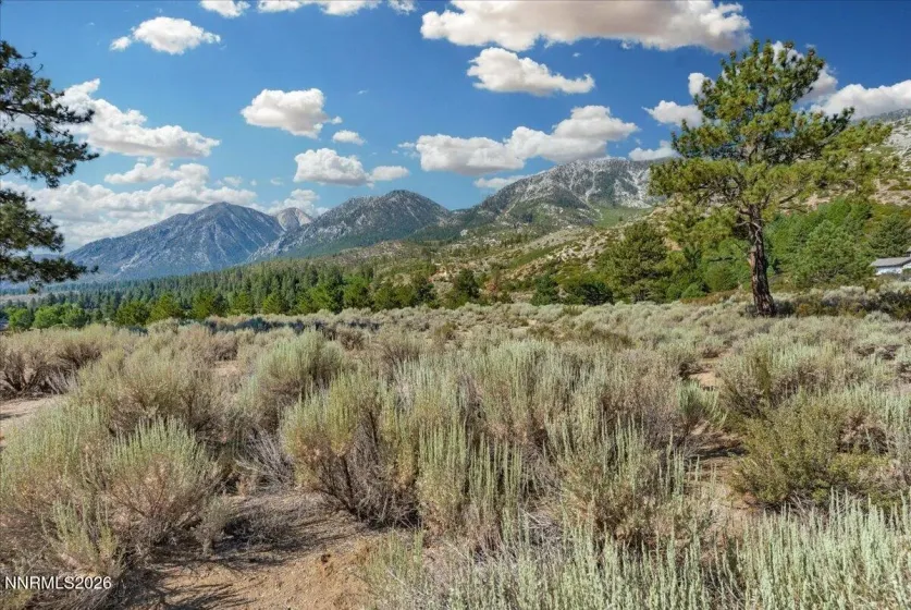 1211 Quail Ridge, Gardnerville, Nevada 89460, ,Land,Residential,Quail Ridge,0,260009708