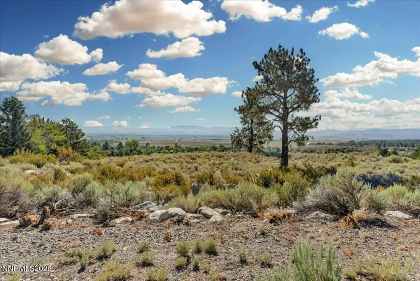1211 Quail Ridge, Gardnerville, Nevada 89460, ,Land,Residential,Quail Ridge,0,260009708