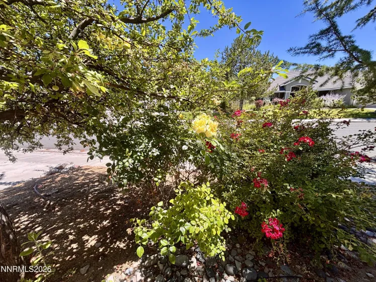 9933 Rio Bravo, Reno, Nevada 89521, 3 Bedrooms Bedrooms, ,3 BathroomsBathrooms,Residential,Residential,Rio Bravo,0,260009716