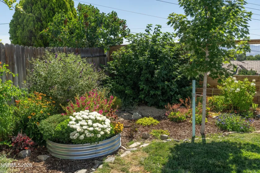 2446 Skyview, Reno, Nevada 89523, 3 Bedrooms Bedrooms, ,2 BathroomsBathrooms,Residential,Residential,Skyview,0,260009724