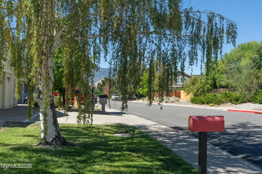 2446 Skyview, Reno, Nevada 89523, 3 Bedrooms Bedrooms, ,2 BathroomsBathrooms,Residential,Residential,Skyview,0,260009724