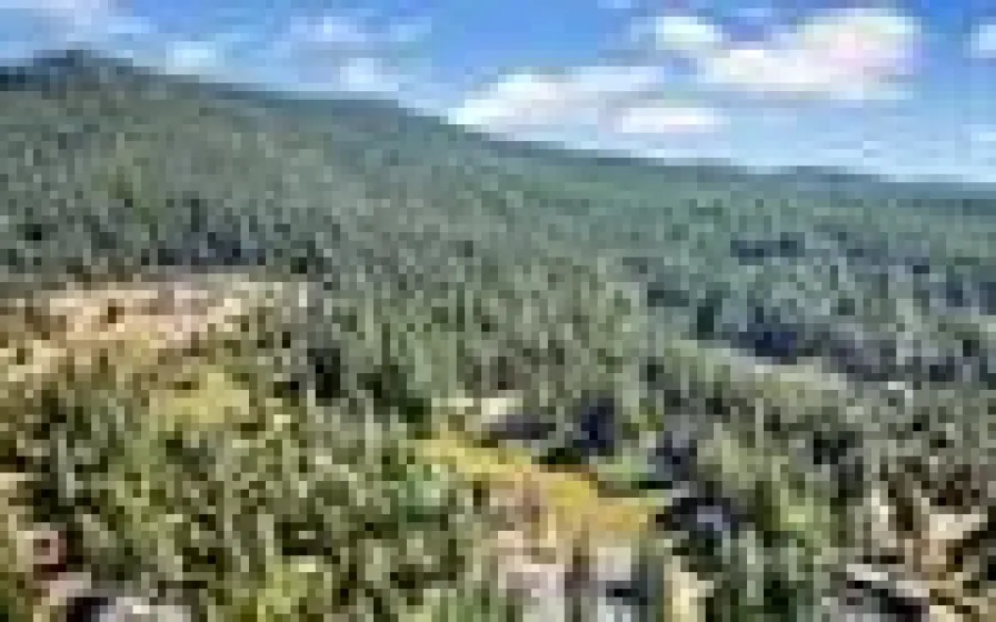 6545 Dyer, Almanor, California 96137, 4 Bedrooms Bedrooms, ,4 BathroomsBathrooms,Residential,Residential,Dyer,0,260009732