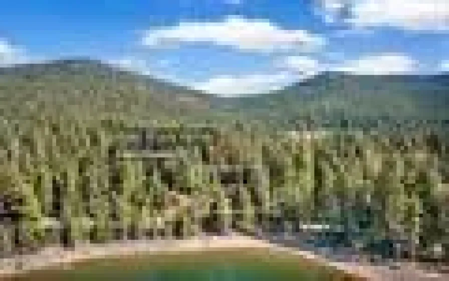 6545 Dyer, Almanor, California 96137, 4 Bedrooms Bedrooms, ,4 BathroomsBathrooms,Residential,Residential,Dyer,0,260009732