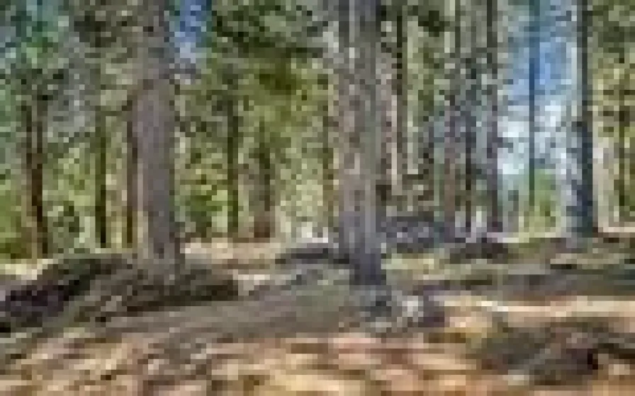 6545 Dyer, Almanor, California 96137, 4 Bedrooms Bedrooms, ,4 BathroomsBathrooms,Residential,Residential,Dyer,0,260009732