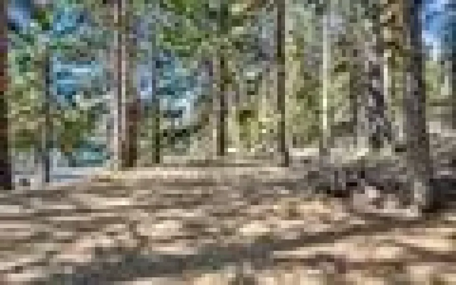 6545 Dyer, Almanor, California 96137, 4 Bedrooms Bedrooms, ,4 BathroomsBathrooms,Residential,Residential,Dyer,0,260009732